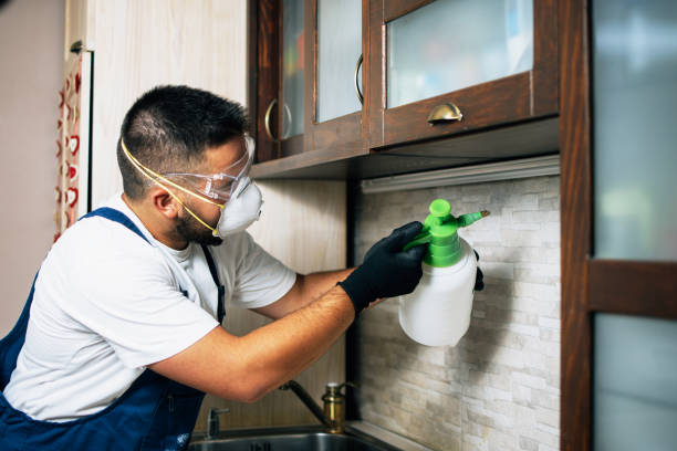 Best Emergency Pest Control  in Lecanto, FL