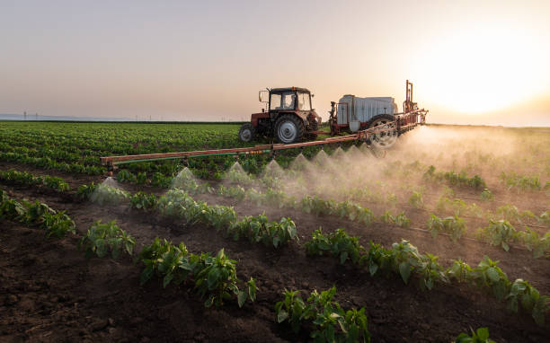 Pest Control Cost in Lecanto, FL