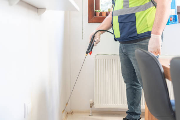 Best Insect Control  in Lecanto, FL